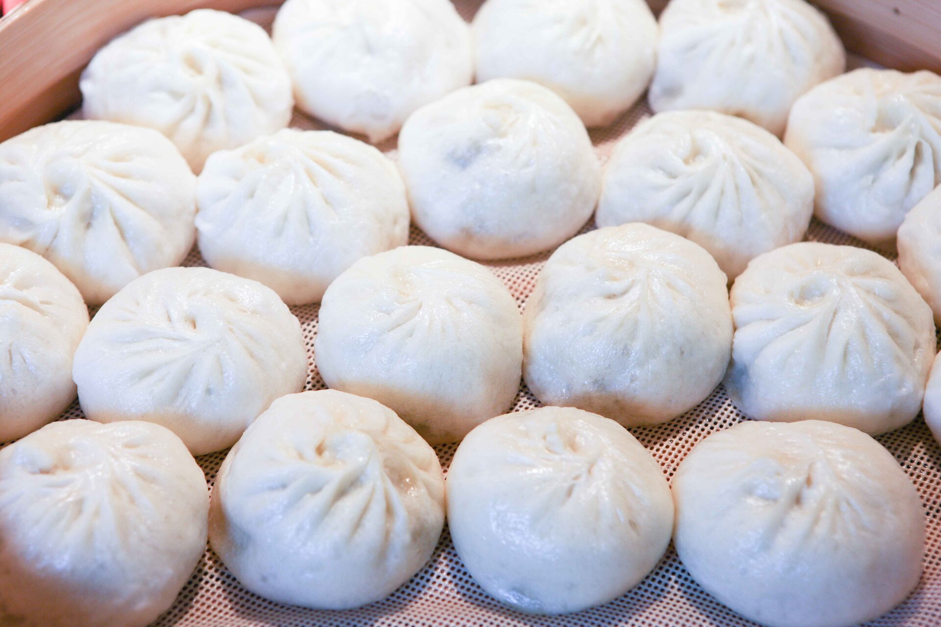 Mandu (dumpling coreano)